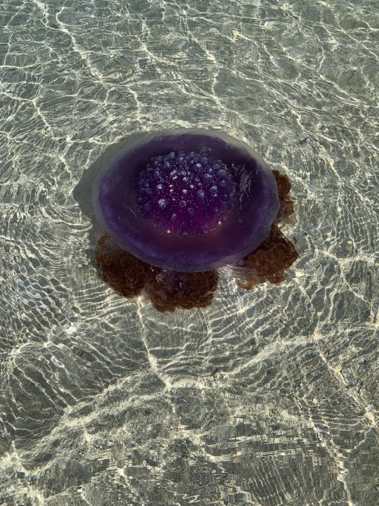 Strand Cinnamon Hakuraa Huraa Maldives