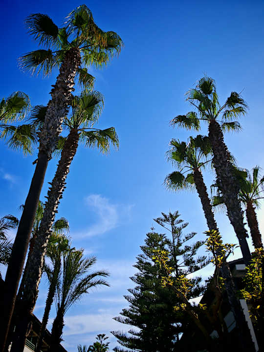 Pool allsun Hotel Eden Playa