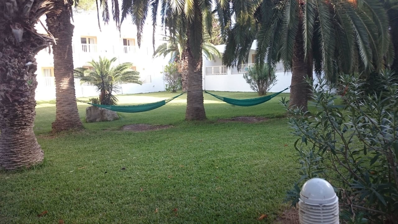 Hängematten im Garten The Orangers Beach Resort and Bungalows