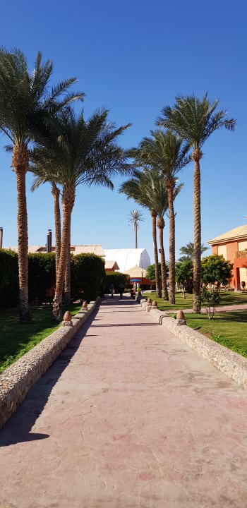 Gartenanlage Pickalbatros Alf Leila Wa Leila Resort - Neverland Hurghada