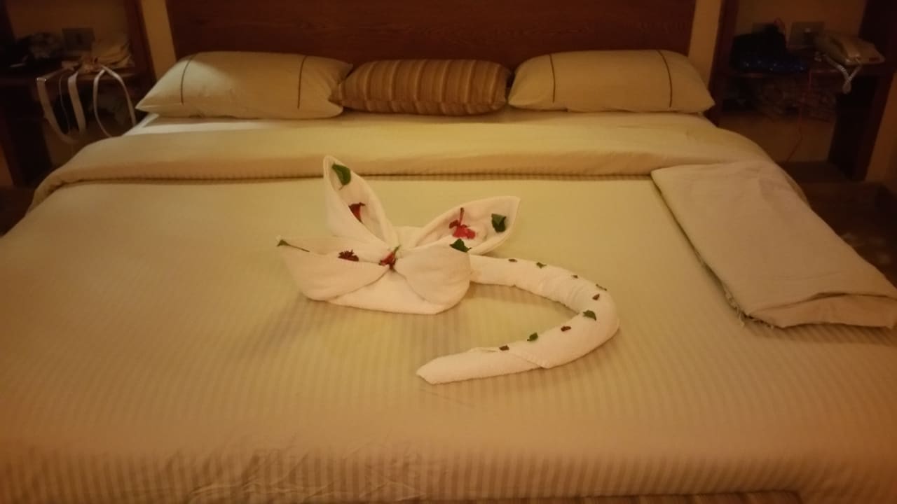 Zimmer Grand Waterworld Makadi & Family Star Makadi