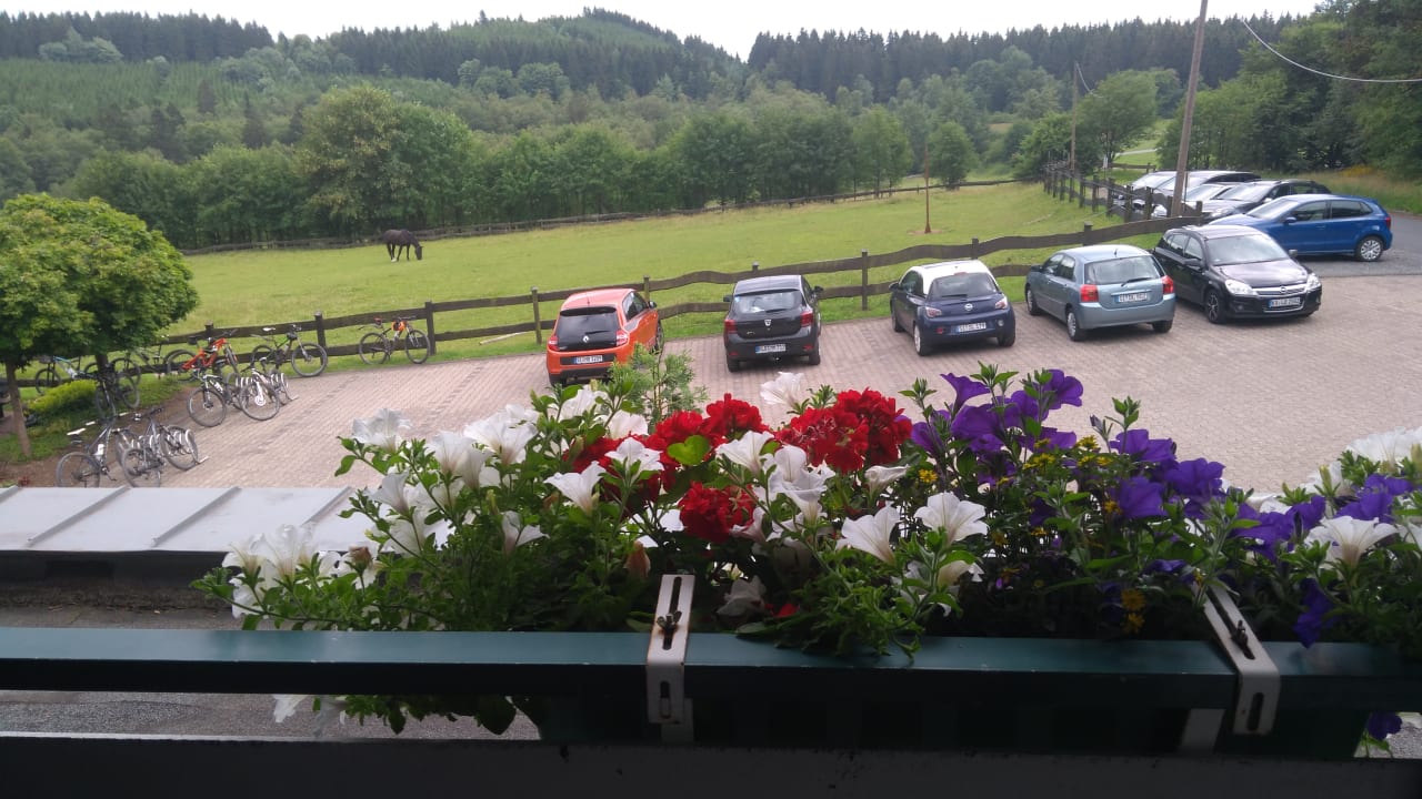 Ausblick Hotel Ginsberger Heide