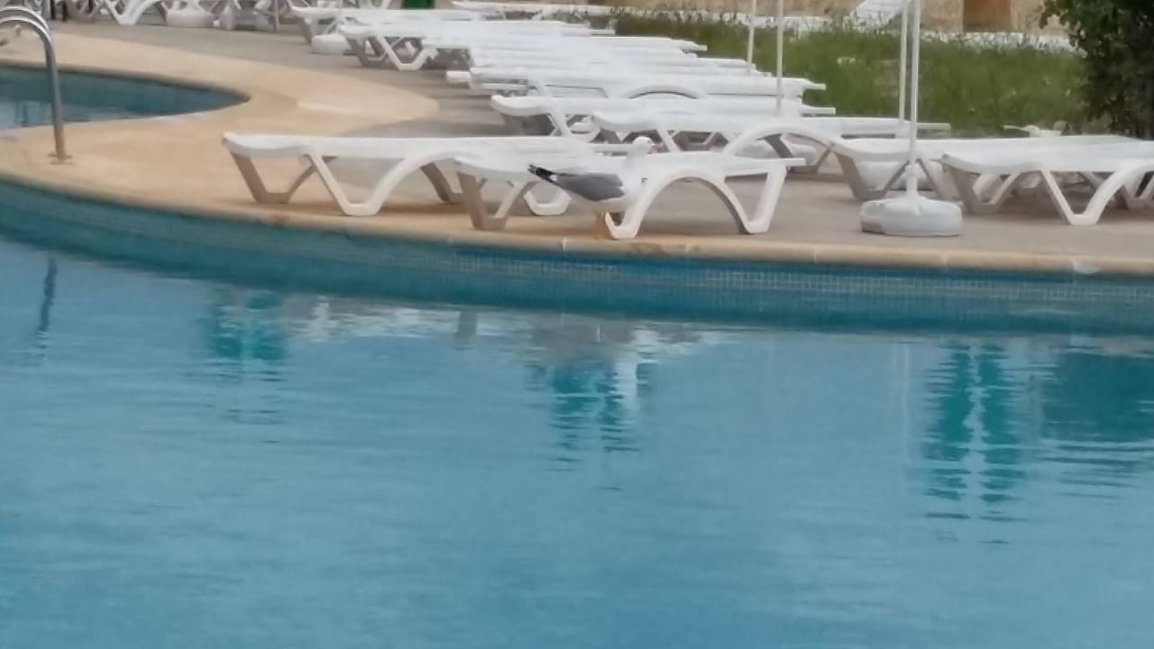 Am Pool Hotel Borjana