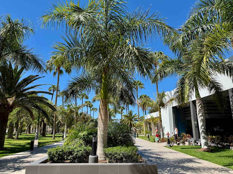 Gartenanlage Hotel Riu Gran Canaria