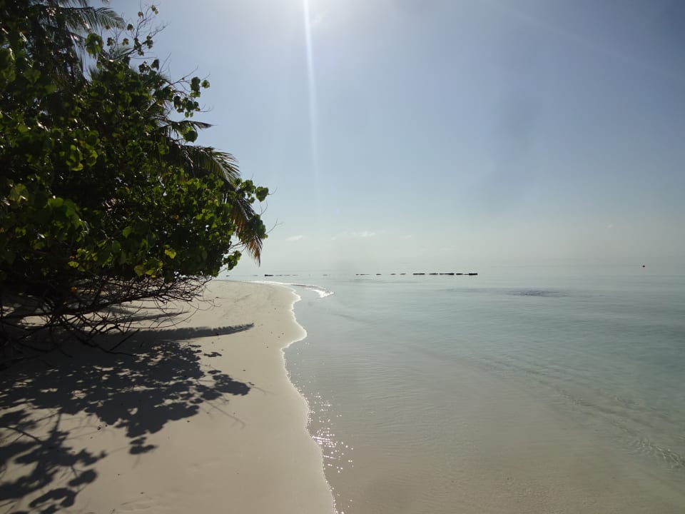 Strand Safari Island Maldives