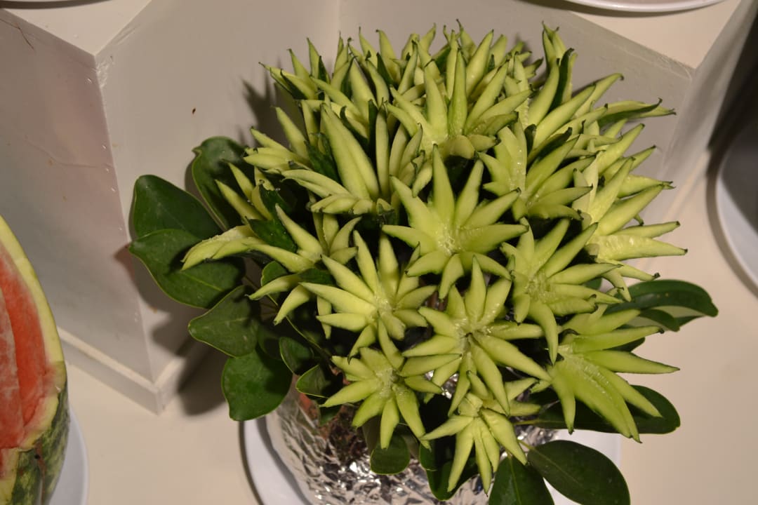 Gastro Saphir Resort & Spa