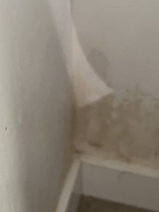 Zimmer Apartment Bellamar