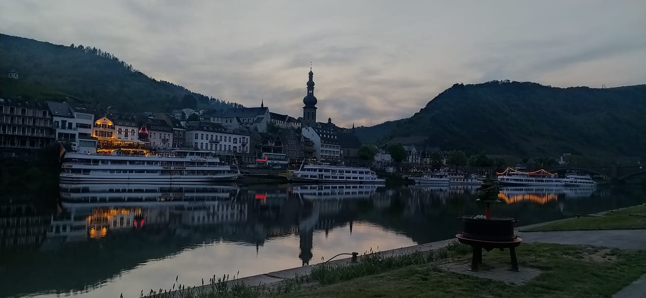 Ausblick Moselstern Hotel Brixiade & Triton