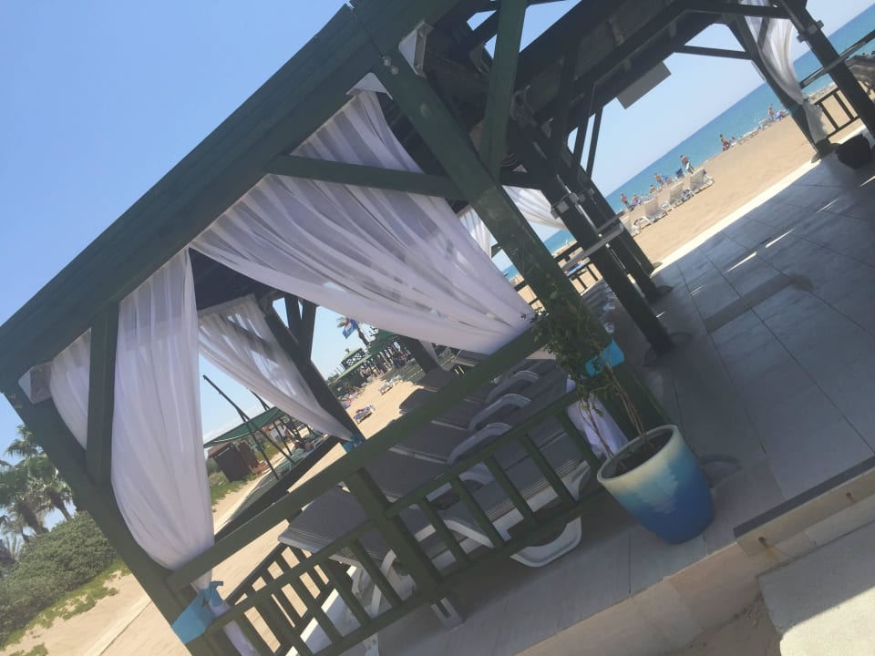 Wunderschön AQI Pegasos World