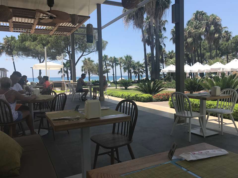 Gastro Acanthus Cennet Barut Collection