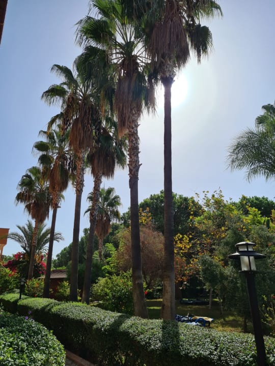 Gartenanlage Club Turtas Beach Hotel