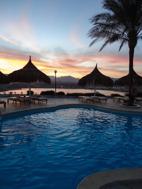 Sonnenuntergang am Relax-Pool Albatros Sharm Resort