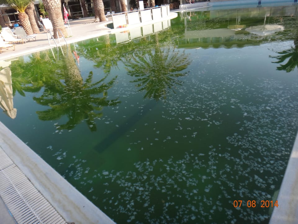 BASEN SZAMBO VIII 2014 Kipriotis Hippocrates Hotel