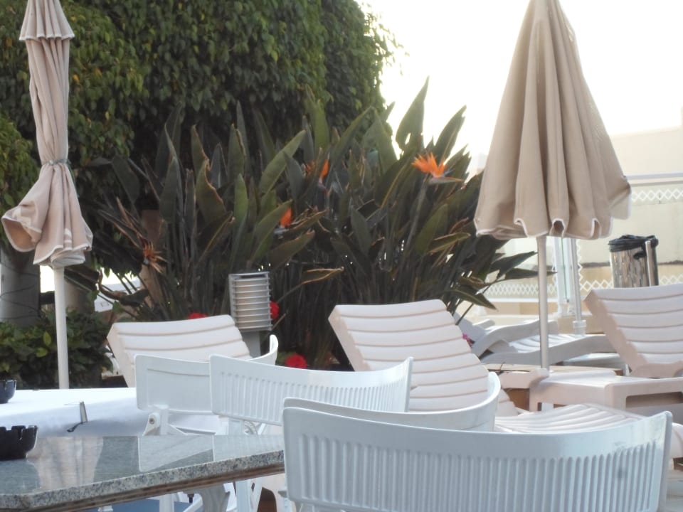 Terrasse mit ausreichend Liegen Hotel Riu Palace Jandia