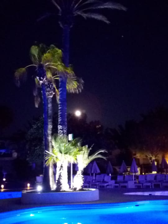 Pool H10 White Suites