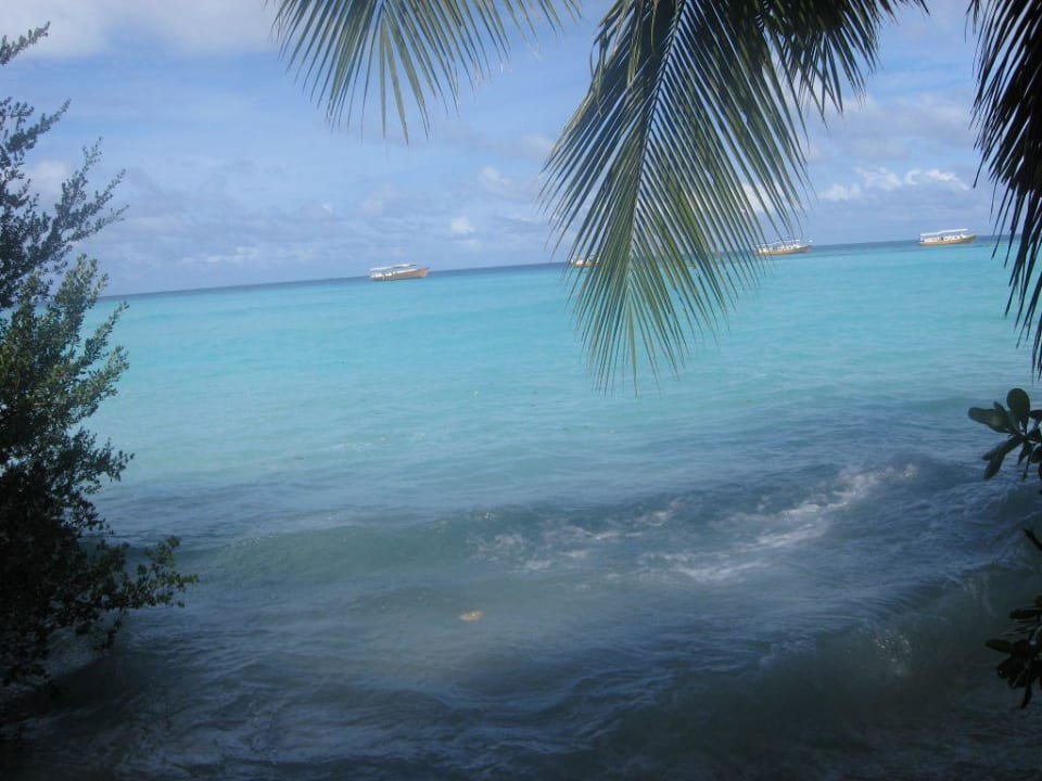 Ausblick aus Bungi 35 Summer Island Maldives