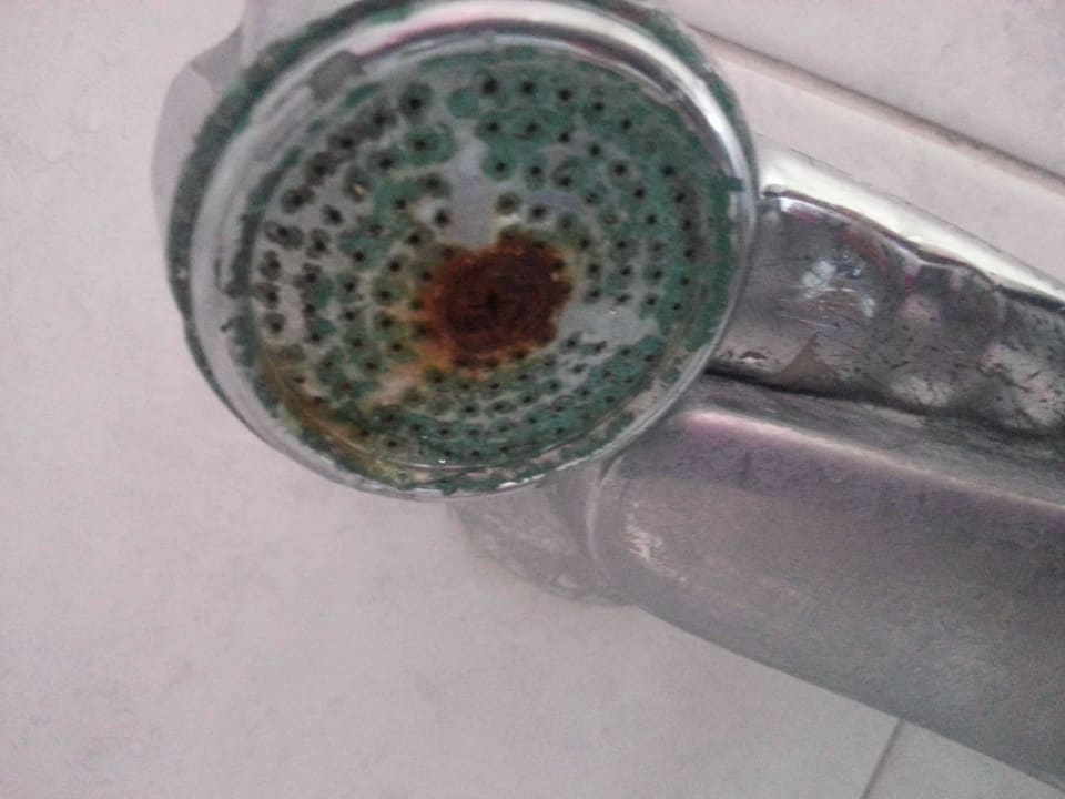 Duschkopf Yassou Kriti