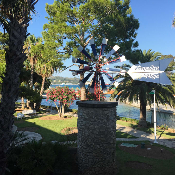 Ausblick Balkon allsun App.-Hotel Orquidea Playa