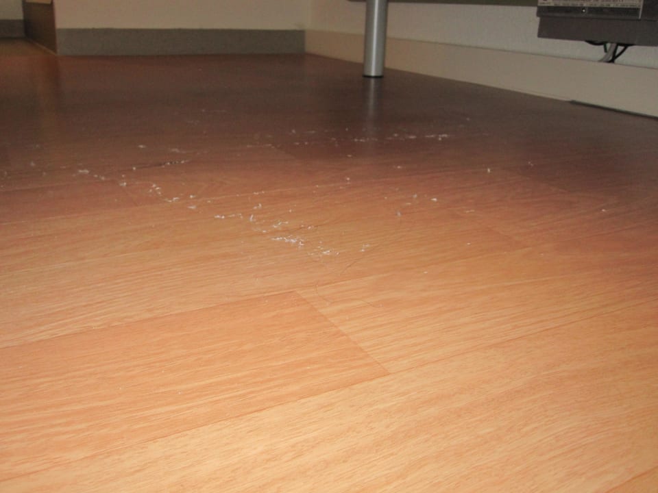 Haare und Staub, wo man hinschaute B&B HOTEL Flensburg-City