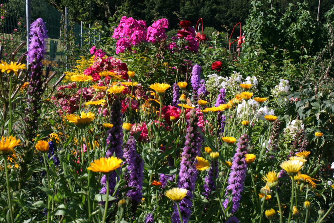 Gartenanlage Bauernhof Bernhardenhof