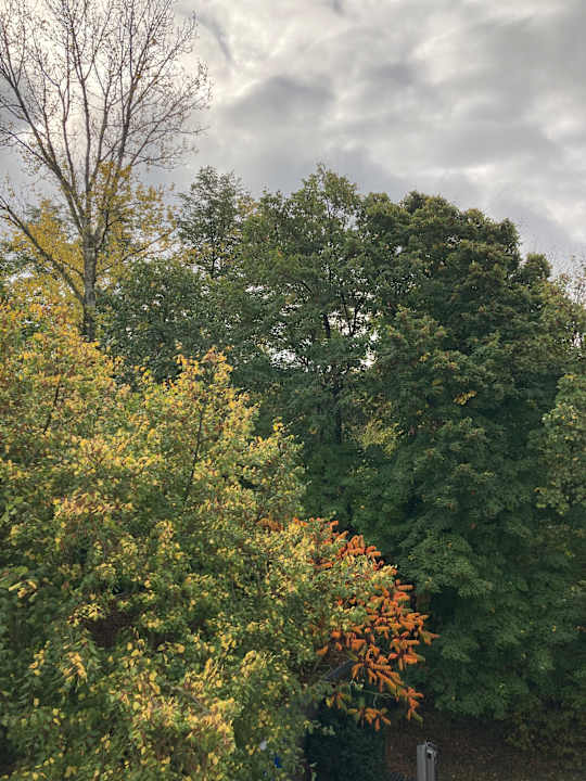 Zimmer Best Western Hotel Windorf