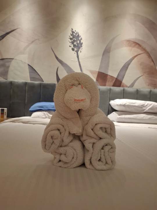 Zimmer Three Corners Sea Beach Resort