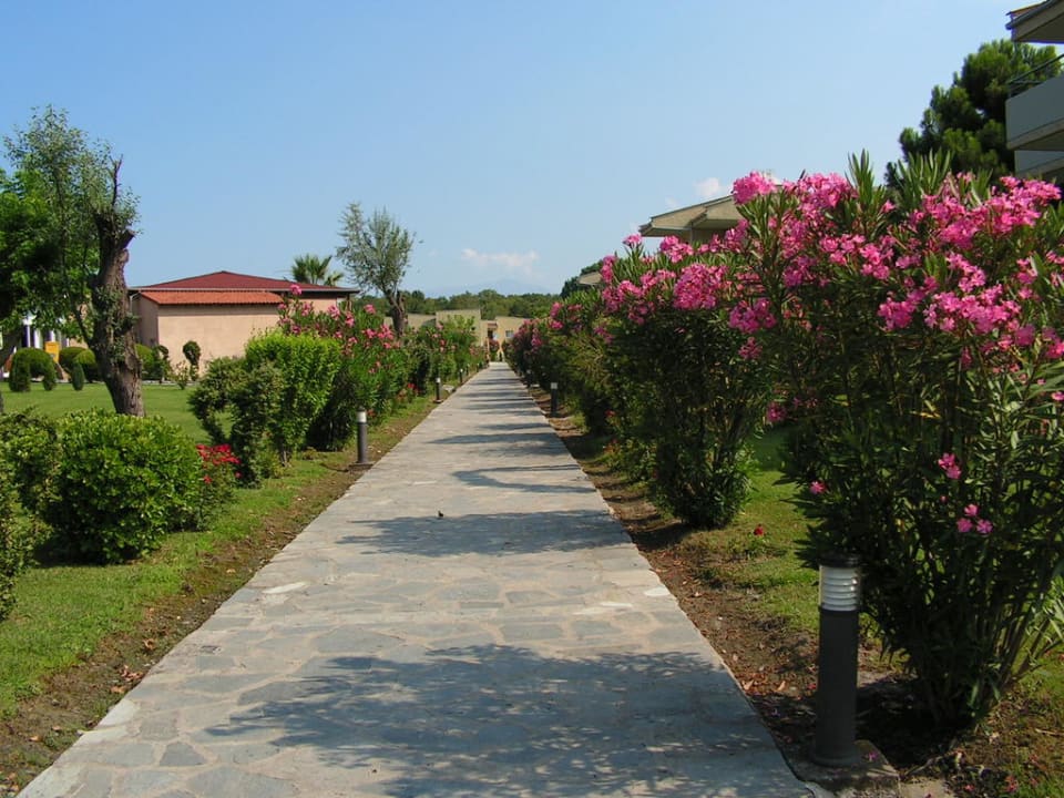 Wege alltoura Club Hotel Poseidon Palace