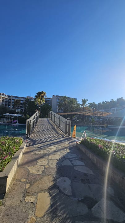 Gartenanlage Arum Barut Collection