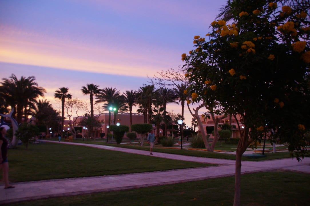 4 Beach Albatros Resort