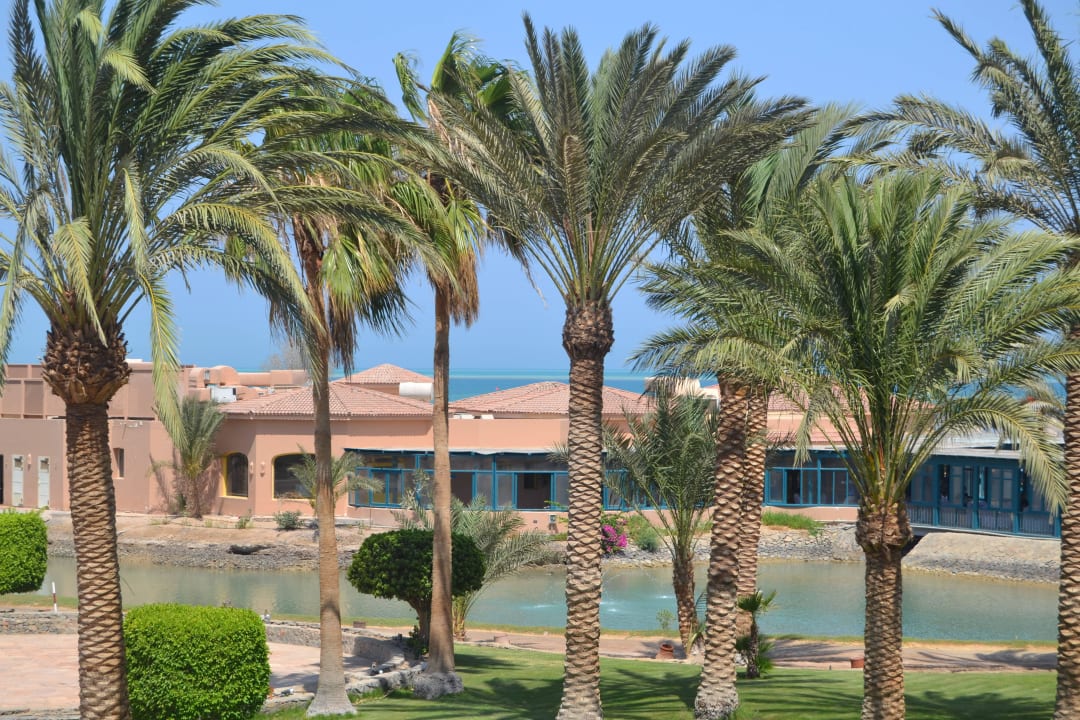 Aussicht aus unserem Zimmer in den Garten Club Paradisio El Gouna, Red Sea