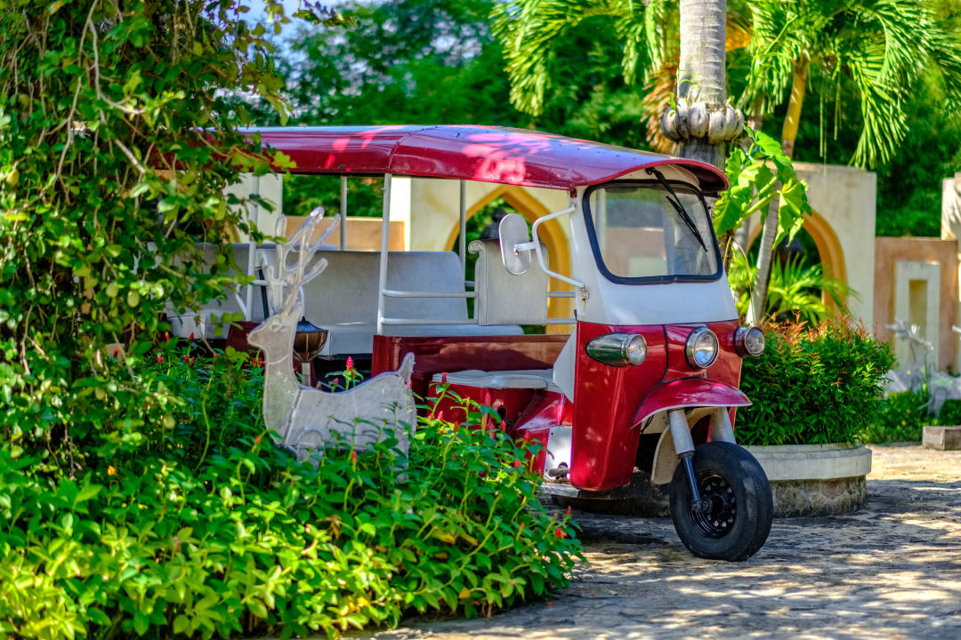 Gartenanlage Zazen Boutique Resort & Spa