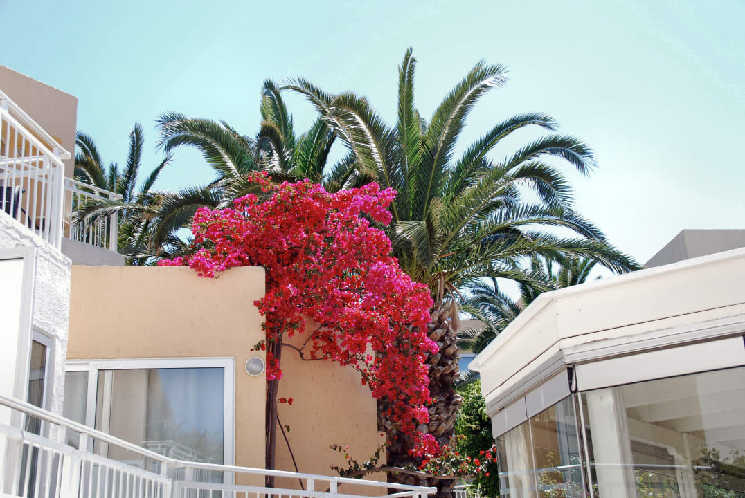 In den Gängen zu den Zimmern Nefeli Hotel Rethymno
