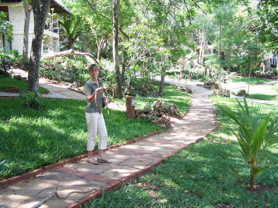 Ansicht des Haupthauses Baobab Beach Resort & Spa