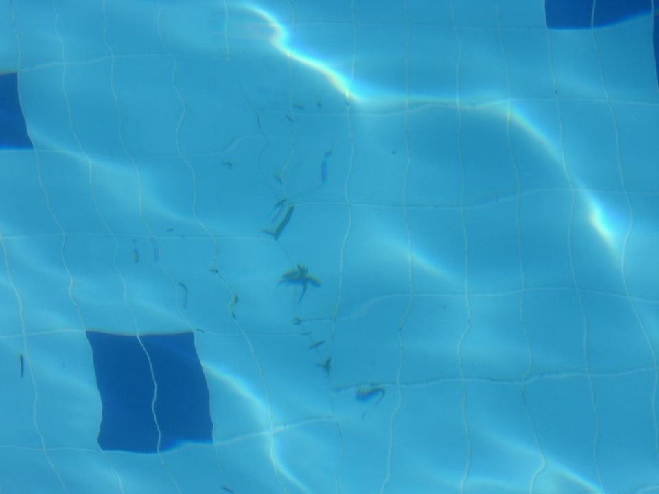 Sauberkeit Pool Monachus Family Resort Sorgun