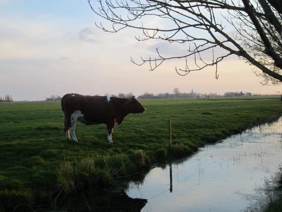Außenansicht Kantorhof Erlebnis- & Urlaubsbauernhof