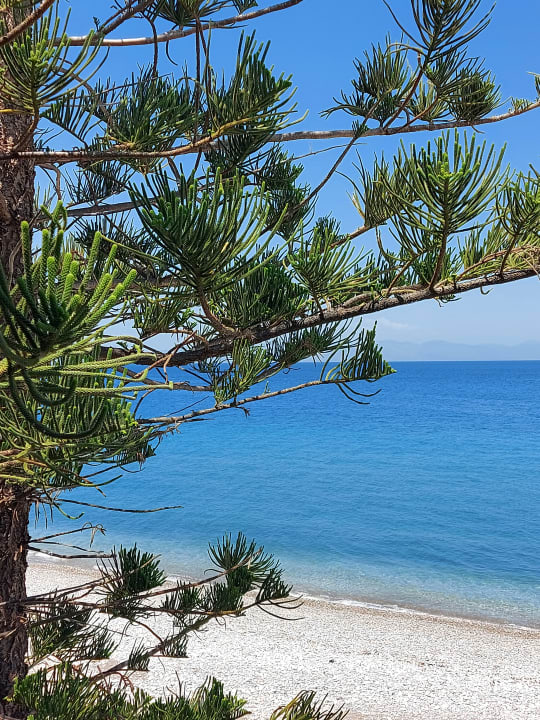 Ausblick Sunshine Rhodes