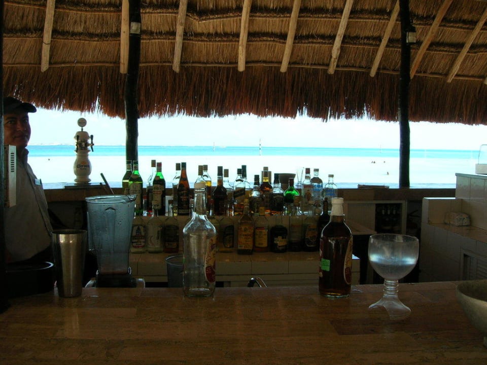 Bar Oasis Palm