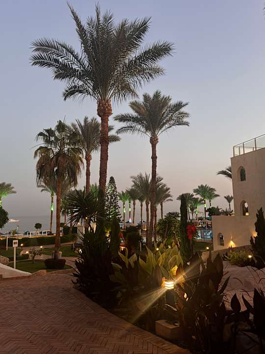 Außenansicht Pickalbatros Royal Grand Resort - Sharm El Sheikh
