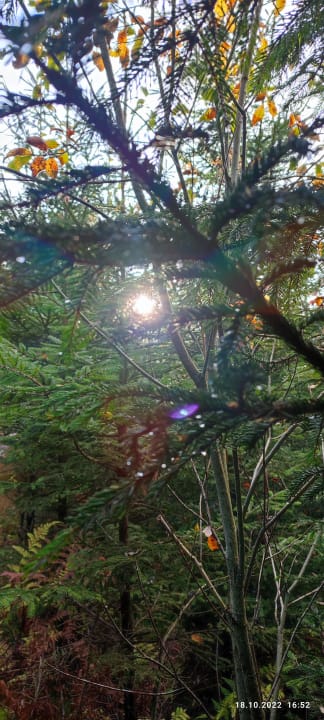 Ausblick Berghotel Hoher Knochen