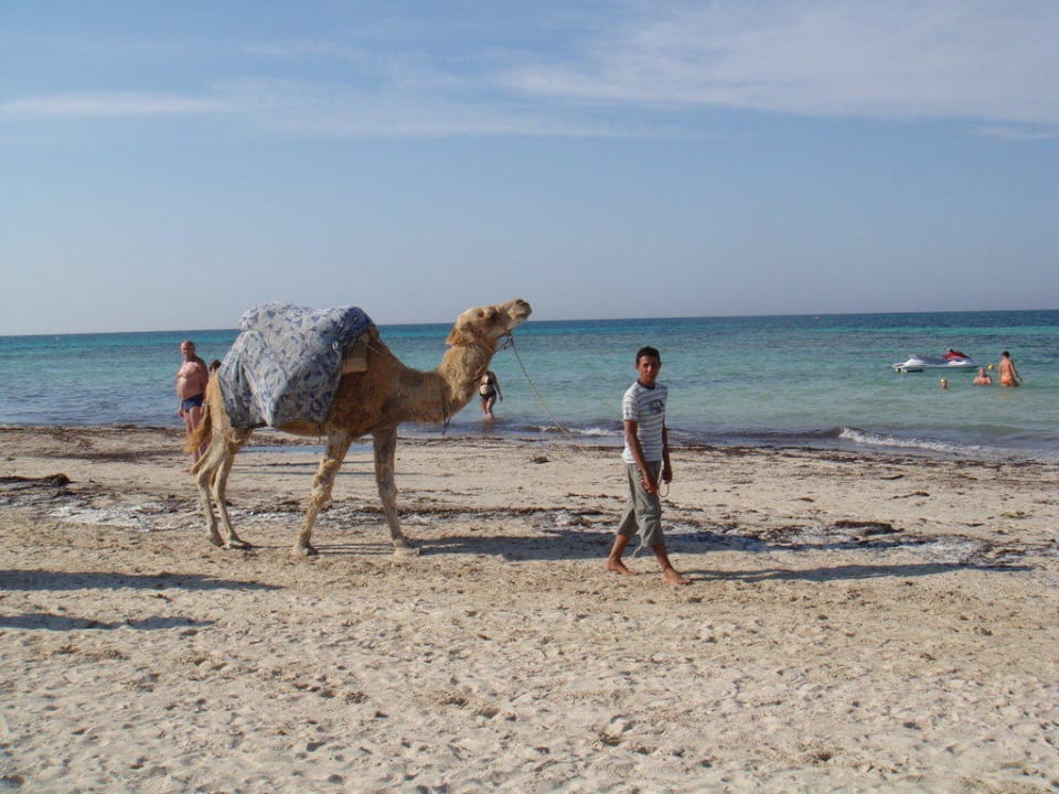 Strand Calimera Yati Beach