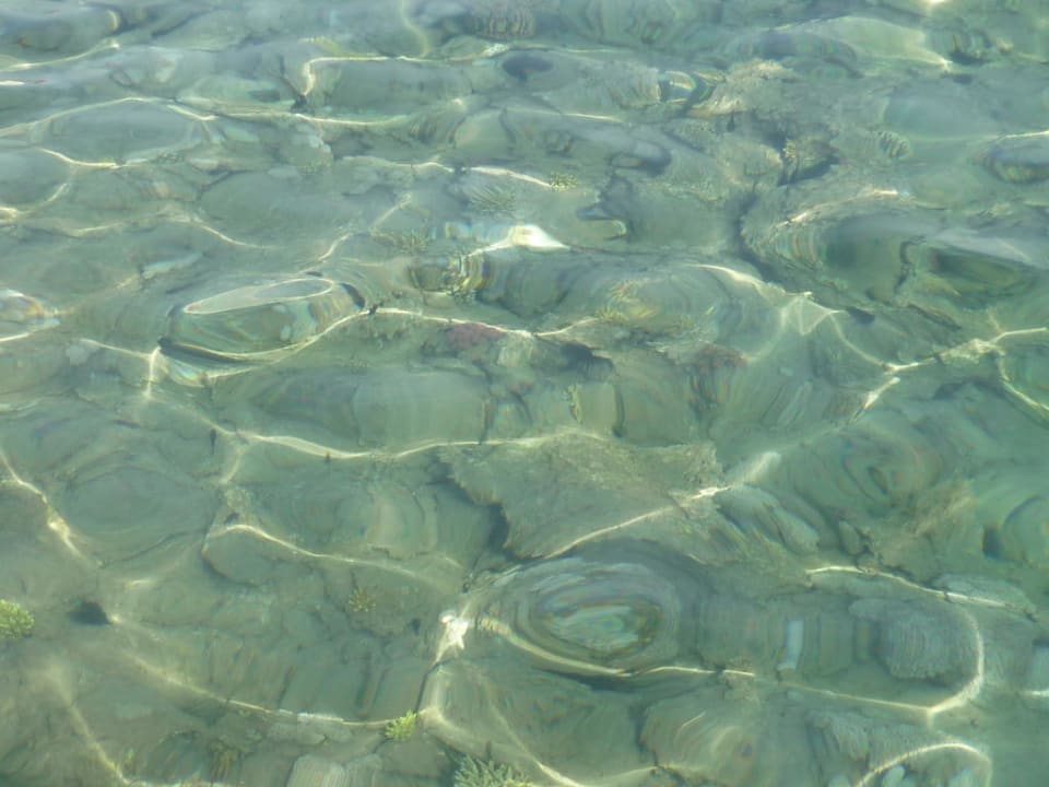 Am Bootssteg , klares Wasser Jaz Makadi Oasis Resort