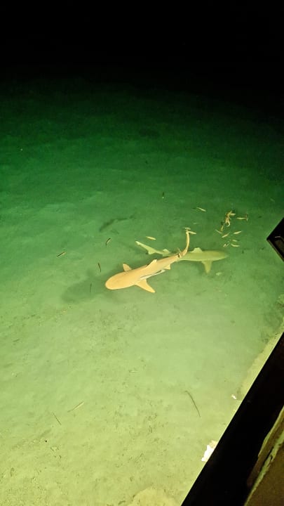 Strand Adaaran Select Hudhuran Fushi - Premium All Inclusive