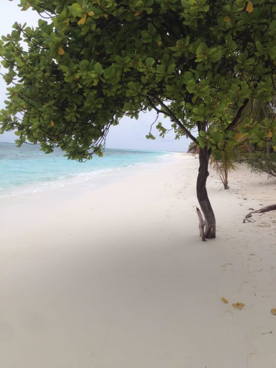 Südseite der Insel  Kuredu Island Resort & Spa