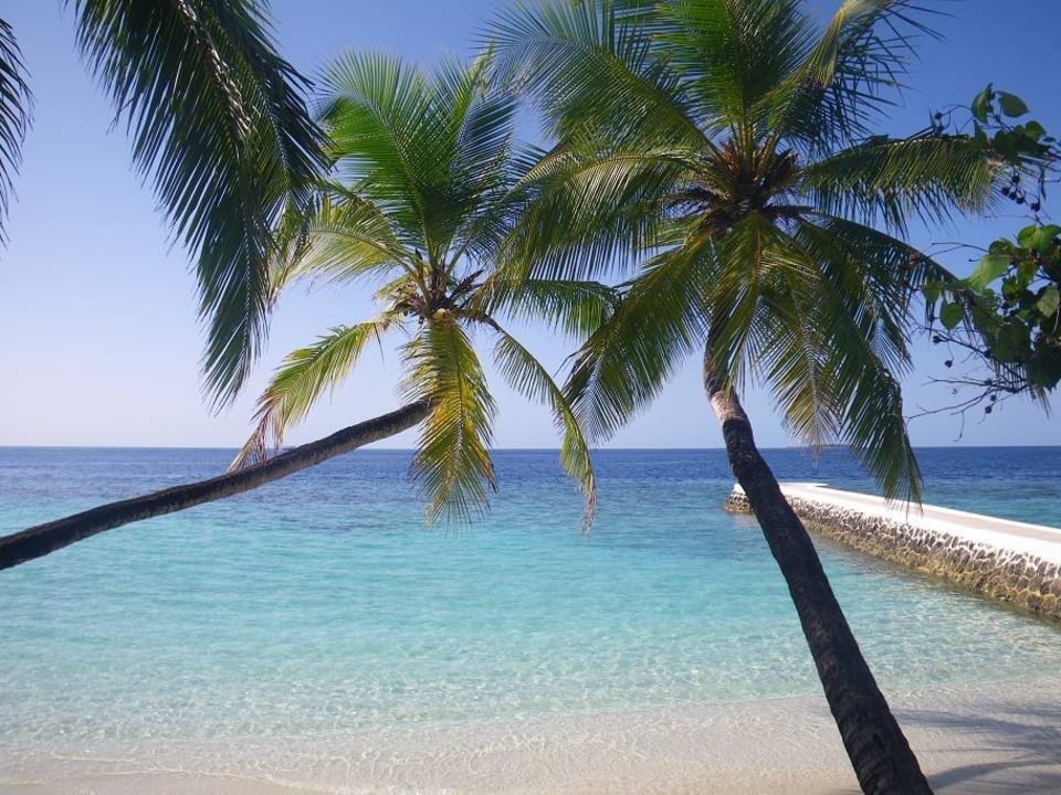 Strand und Palmen NAKAI Dhiggiri Resort