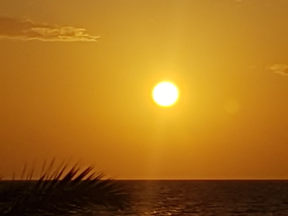 Ausblick Hotel El Mouradi Djerba Menzel