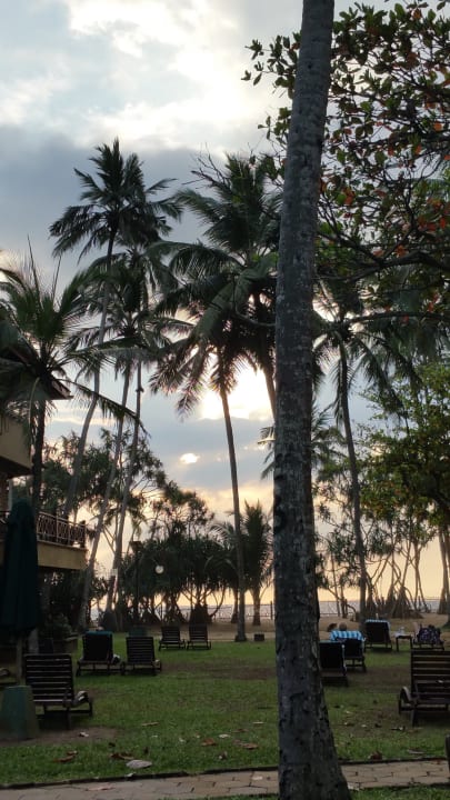 Garten Royal Palms Beach Hotel