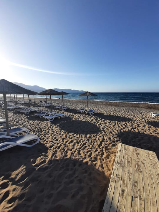 Strand Dessole Dolphin Bay Resort