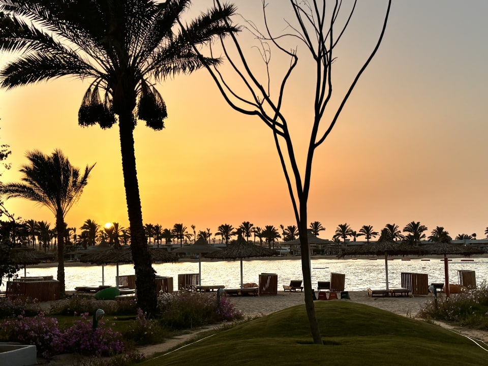 Ausblick Desert Rose