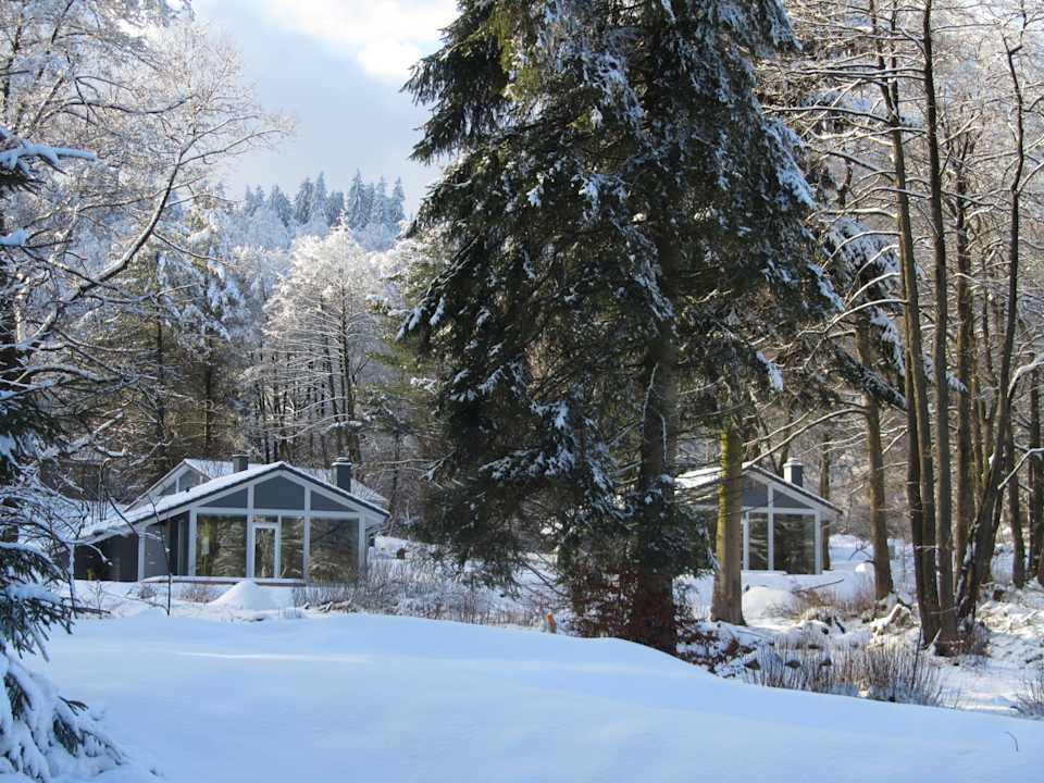 Ausblick Ferienhaus Lichtung