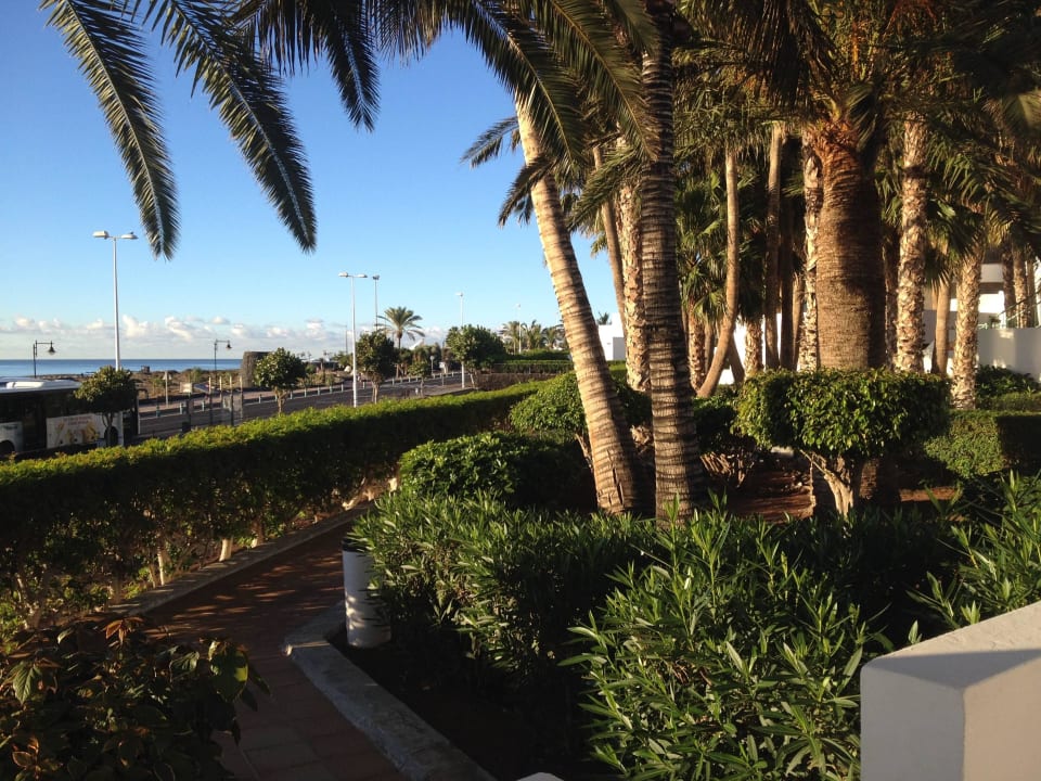 Blick von unserer Terrasse  Hotel Riu Paraiso Lanzarote